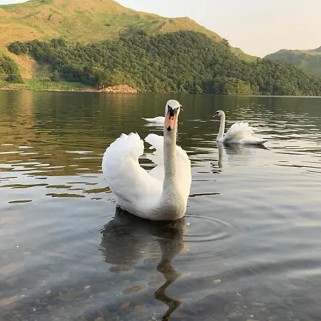 The Ullswater View Guest house Watermillock